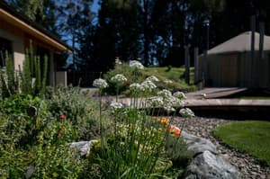 thumbnail: Property grounds