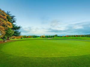 thumbnail: Golf