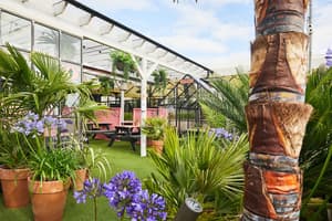 thumbnail: Outdoor dining