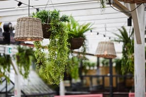 thumbnail: Outdoor dining