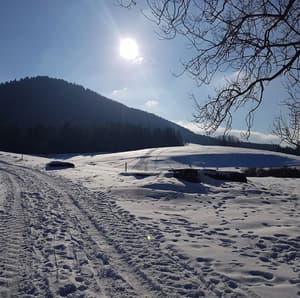 thumbnail: Skiing