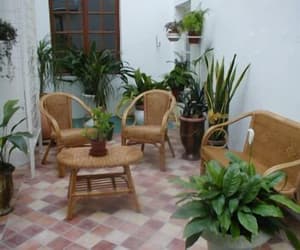 thumbnail: Interior