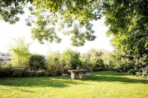 thumbnail: Property grounds