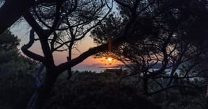 thumbnail: View from property