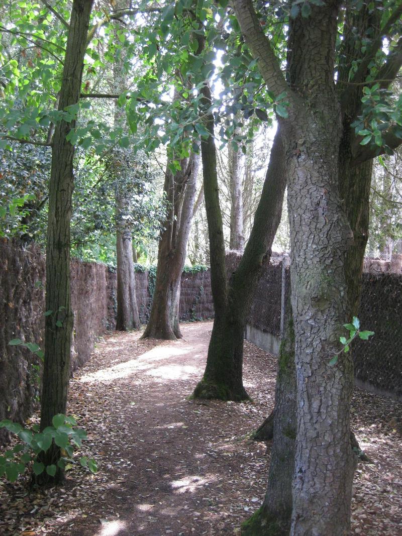 General view