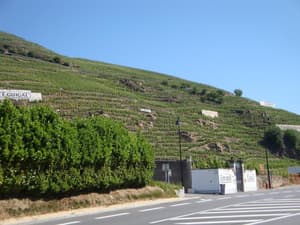 thumbnail: General view