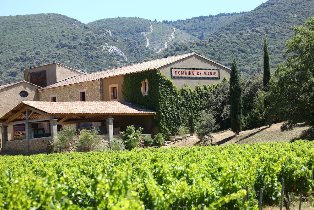 Winery
