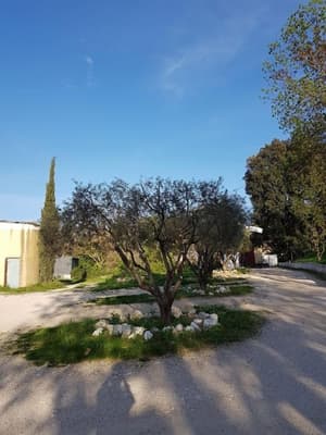 thumbnail: Garden