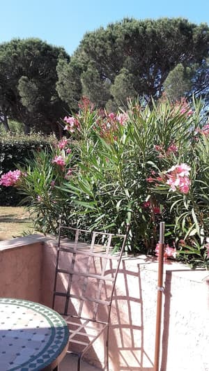 thumbnail: Terrace/patio