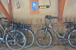 thumbnail: Bicycling