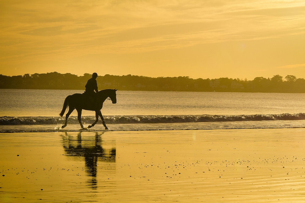 Horseback riding