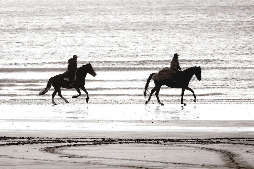 Horseback riding