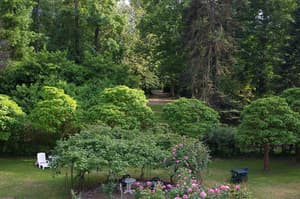 thumbnail: Property grounds