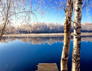 thumbnail: Snowshoeing