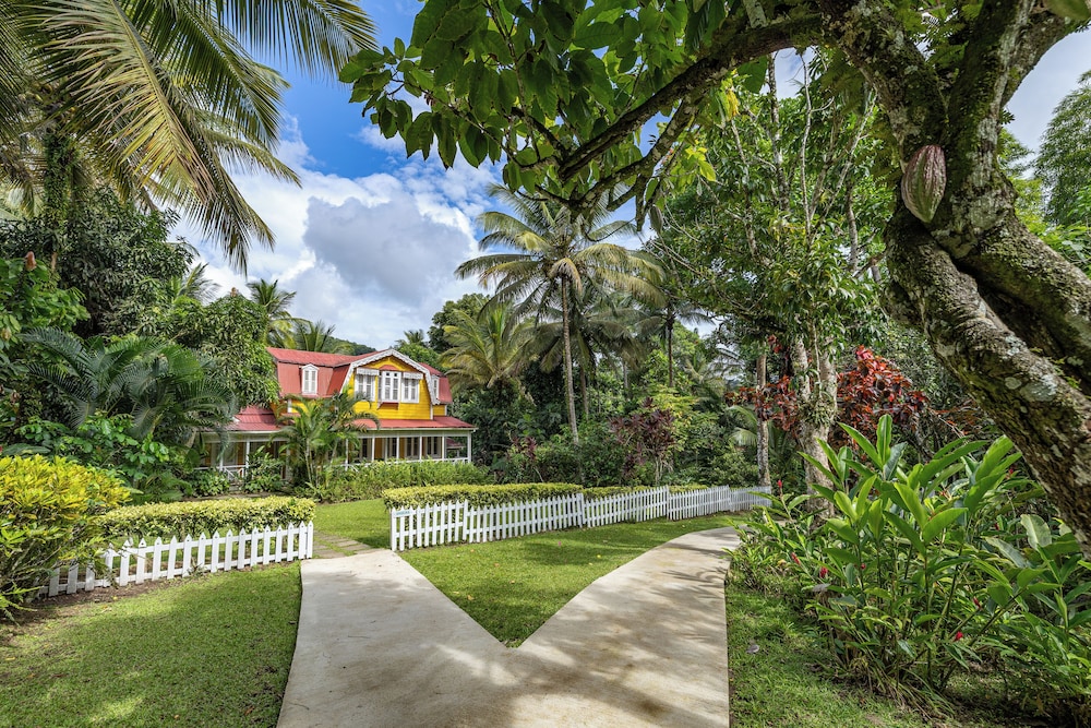 Garden view