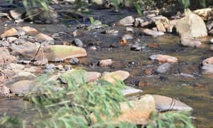 thumbnail: Garden