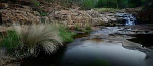 thumbnail: Garden