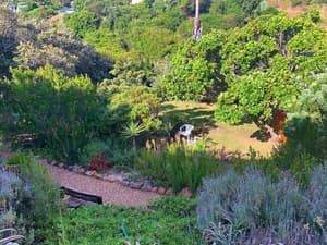 thumbnail: General view