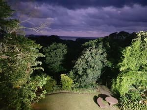 thumbnail: Garden