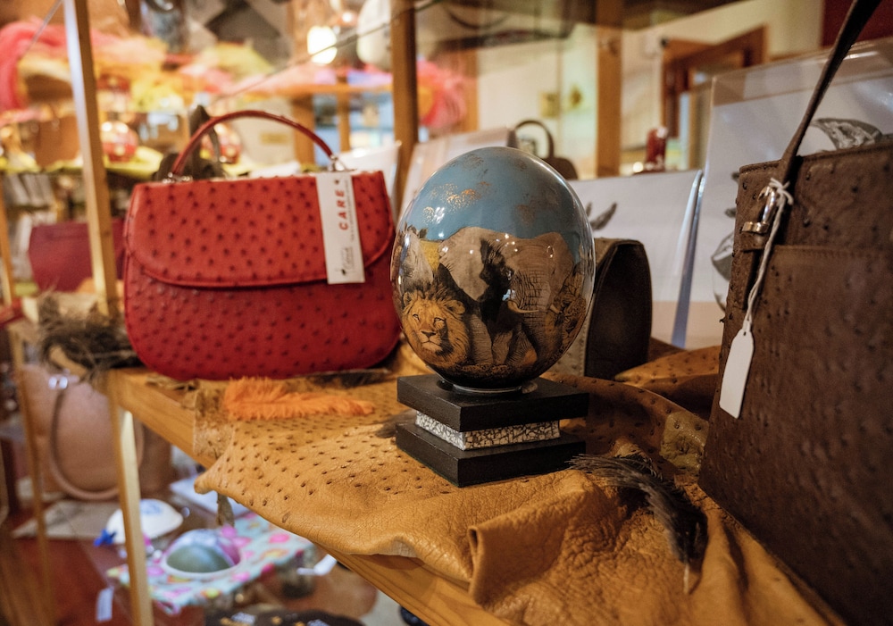 Gift shop