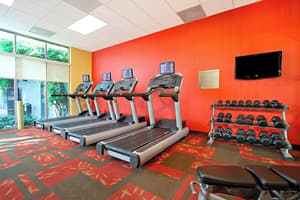 thumbnail: Fitness facility