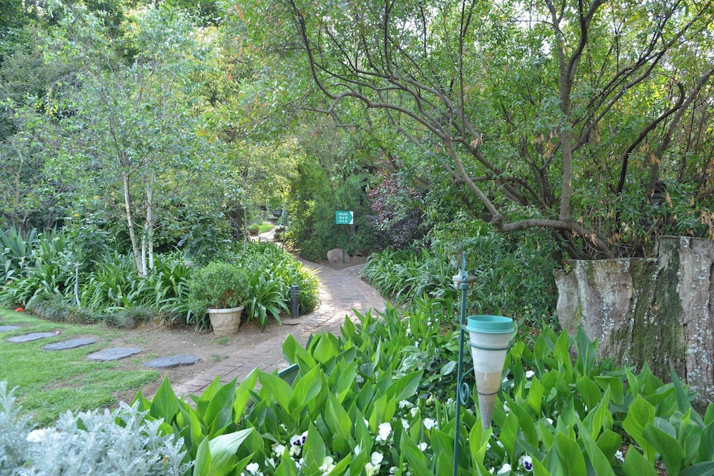 Garden view