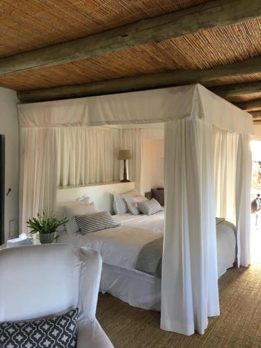 166040834.jpg