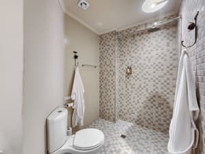 thumbnail: Bathroom shower
