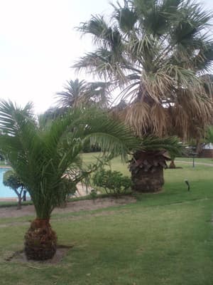 thumbnail: Property grounds