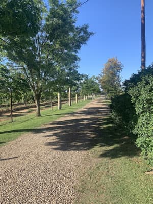 thumbnail: Garden