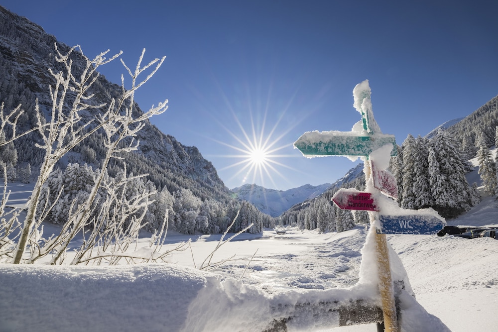 Snow and ski sports