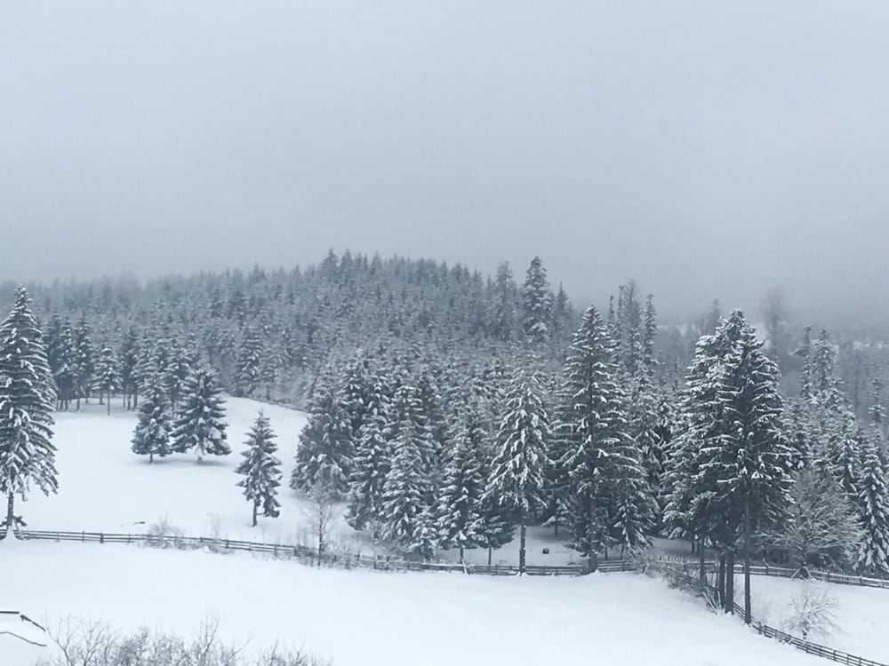 Mountain view