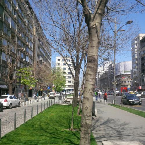 66158145.jpg