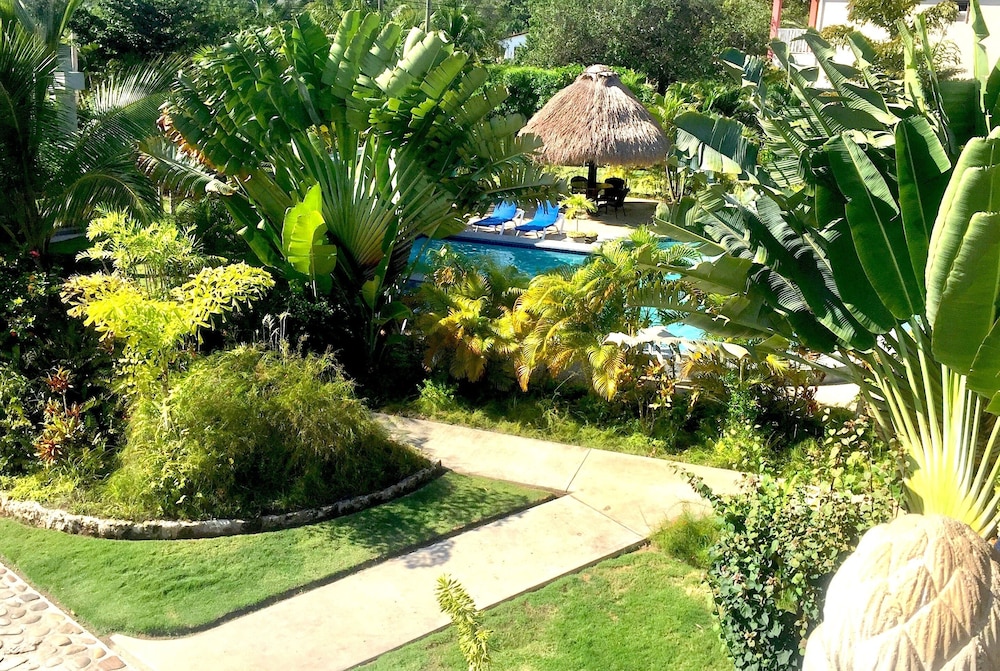 Garden view