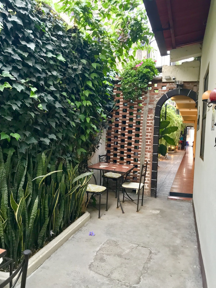 Garden view