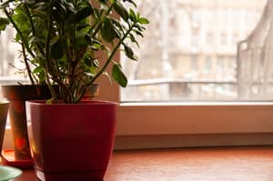 thumbnail: Shared kitchen
