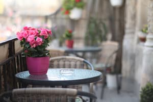 thumbnail: Terrace/patio