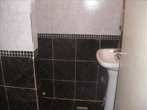 3703670.jpg