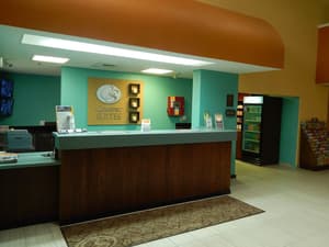 thumbnail: Reception