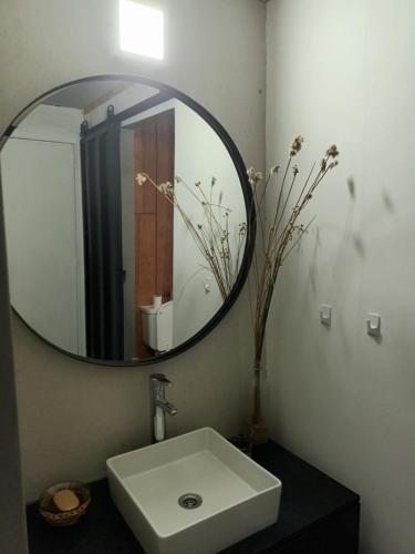 577885646.jpg