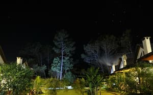 thumbnail: Garden