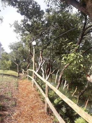 thumbnail: Garden