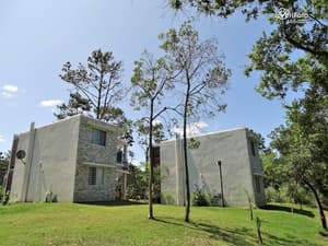 thumbnail: Garden