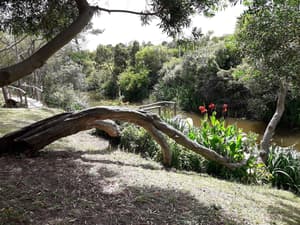 thumbnail: Garden