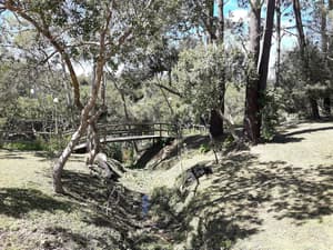 thumbnail: Garden