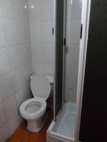 34869716.jpg