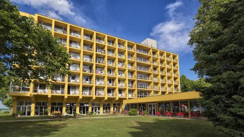 50593340.jpg