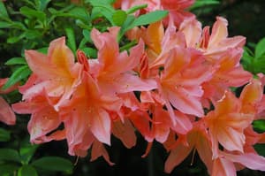 thumbnail: Point of interest