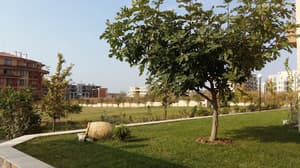 thumbnail: Property grounds