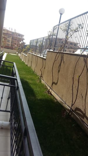 thumbnail: Balcony view